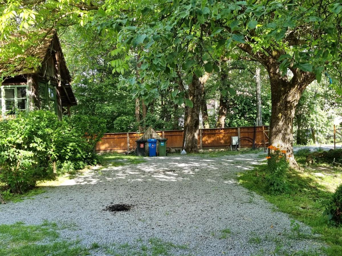 Bed and Breakfast ASTER panzió Cîmpu Cetăţii Exterior foto
