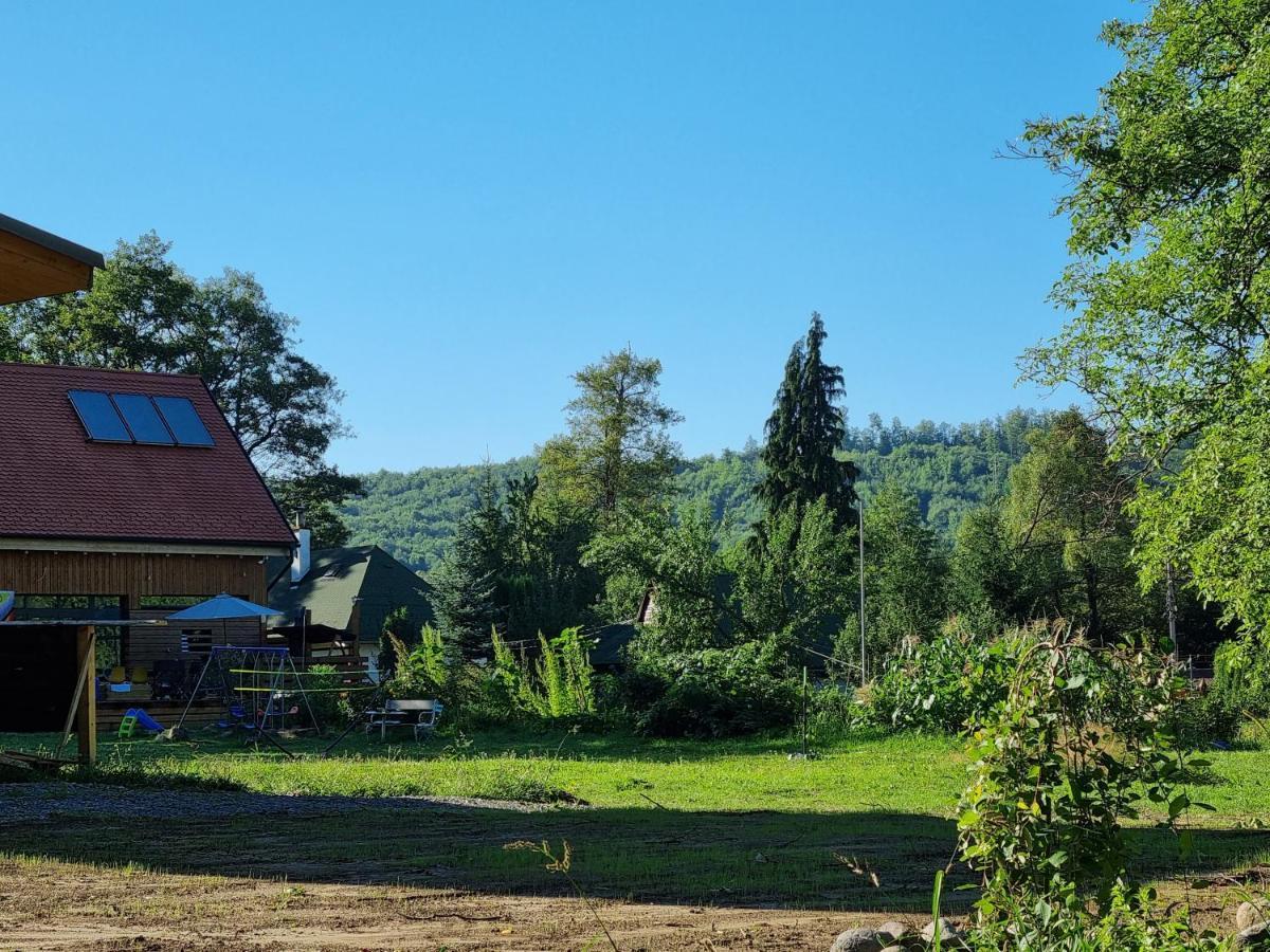 Bed and Breakfast ASTER panzió Cîmpu Cetăţii Exterior foto